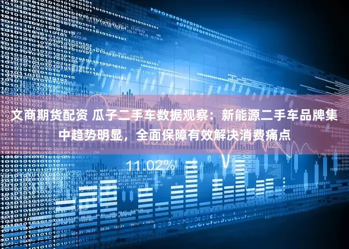文商期货配资 瓜子二手车数据观察：新能源二手车品牌集中趋势明显，全面保障有效解决消费痛点