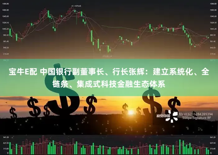 宝牛E配 中国银行副董事长、行长张辉：建立系统化、全链条、集成式科技金融生态体系
