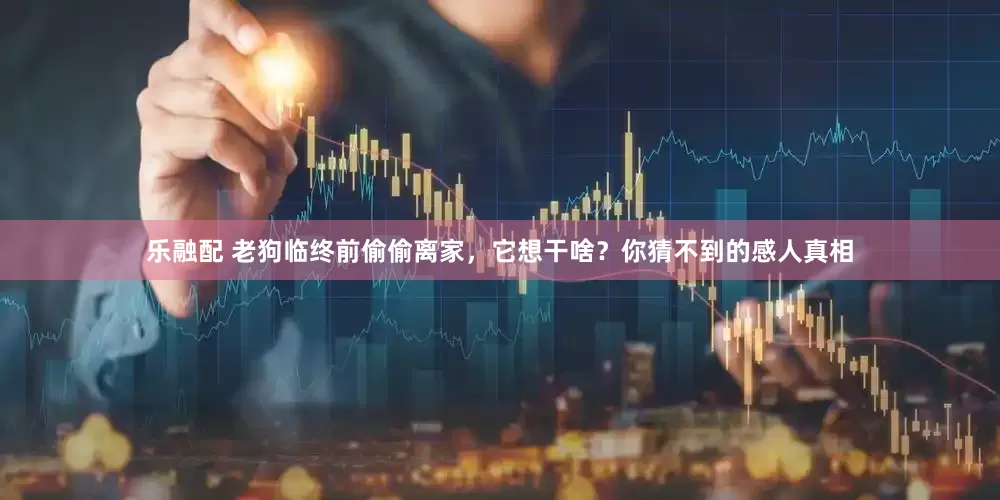 乐融配 老狗临终前偷偷离家，它想干啥？你猜不到的感人真相