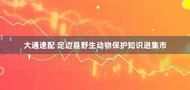 大通速配 定边县野生动物保护知识进集市