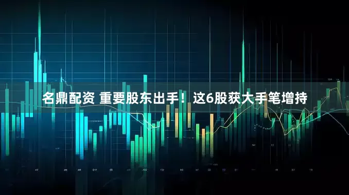 名鼎配资 重要股东出手！这6股获大手笔增持