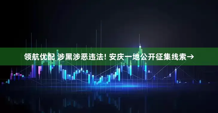 领航优配 涉黑涉恶违法! 安庆一地公开征集线索→