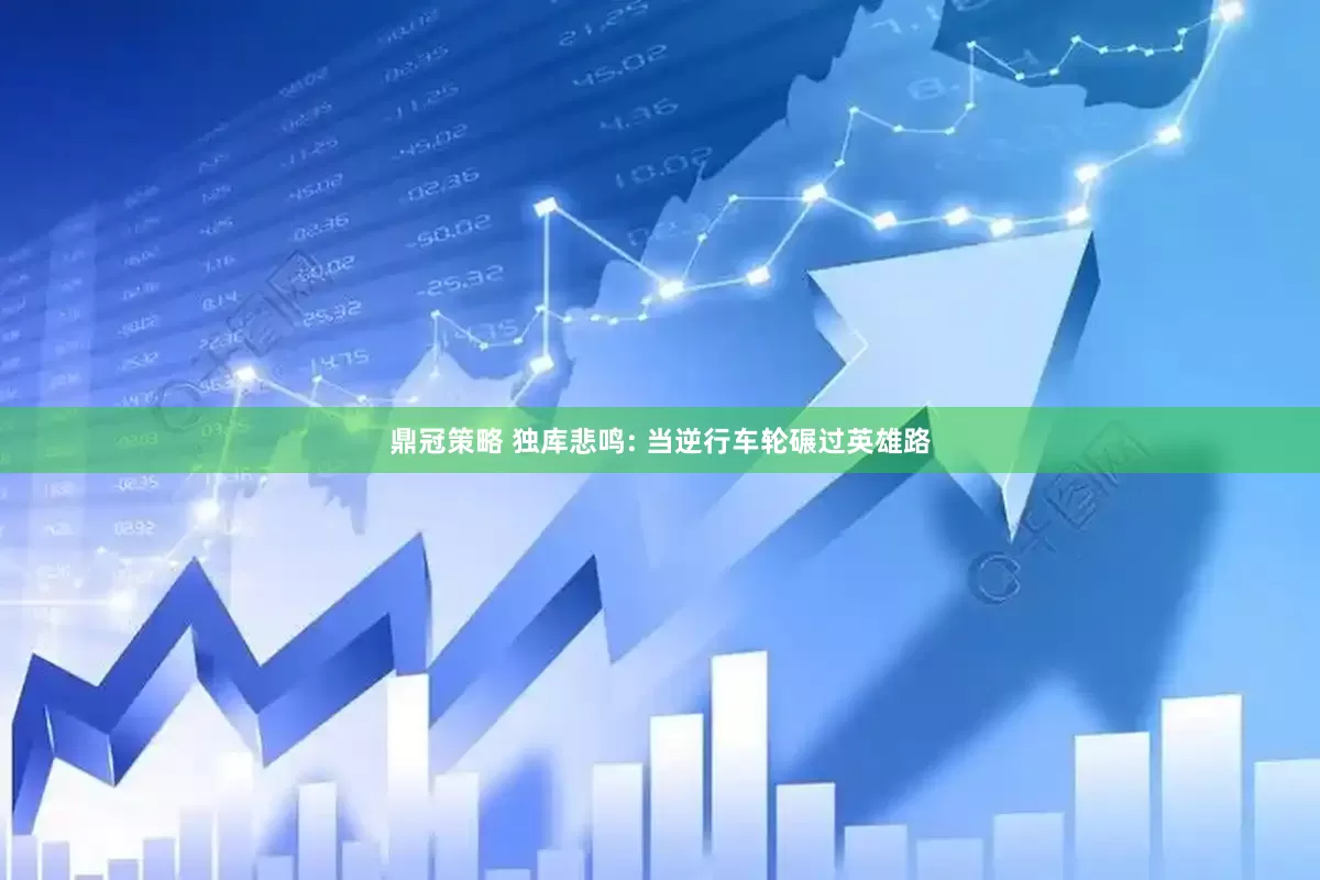 鼎冠策略 独库悲鸣: 当逆行车轮碾过英雄路