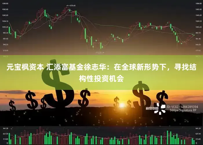 元宝枫资本 汇添富基金徐志华：在全球新形势下，寻找结构性投资机会