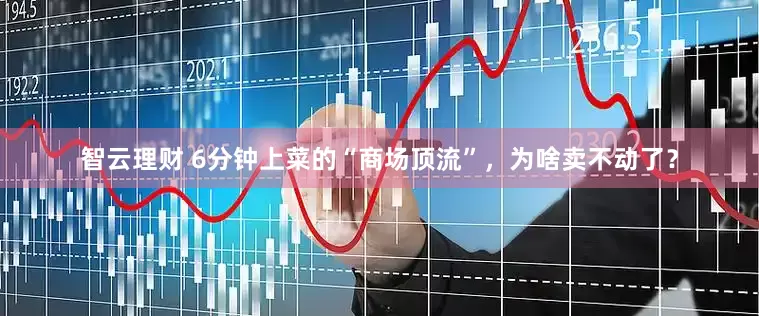 智云理财 6分钟上菜的“商场顶流”，为啥卖不动了？
